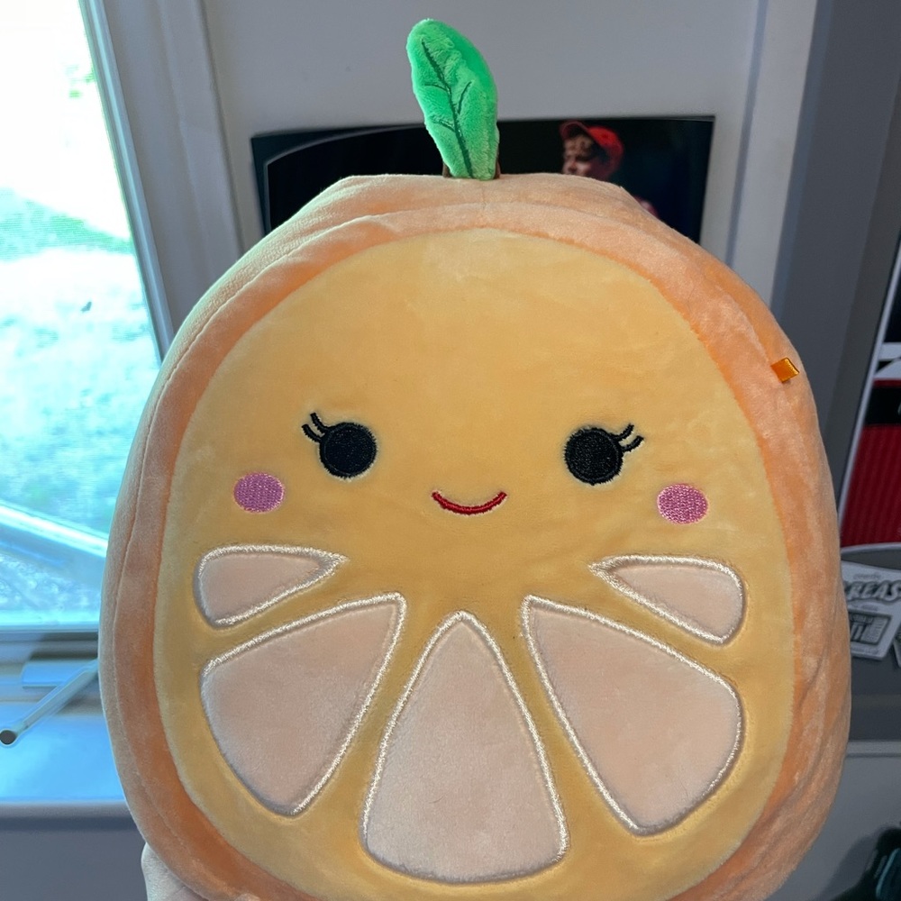 Citrus squad! - Picture 5 of 7